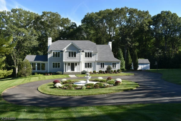 20 CARRIAGE HILL DR, FAR HILLS, NJ 07931 - Image 1